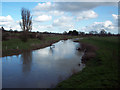 River Rother near Fittleworth in RH20 1EL