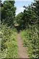 Bridleway to Downham Hall in CM11 1PH