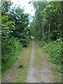Track to the south of Roughpiece Wood in S41 9QL
