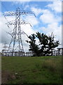 Pylon and tree by the sub station in MK18 3ND