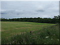 Farmland towards Burnshot Wood in EH30 9TH