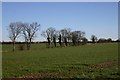 Farmland near Blo' Norton in IP22 2JA