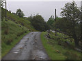 Road approaching Hartrigg in Kentmere