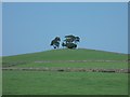 Another view of Moat Low from the south in Newton Grange