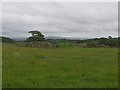 Grazing land east of Crook Road in LA8 9NL