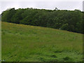 Field and woods west of Crook Road in LA8 9NL