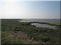 Saltmarsh, Southey Creek, Maldon in Maldon East Ward