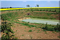 Pond in the pasture by Costwell Farm in NN12 8BB