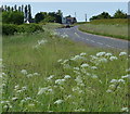 Verges along Hinckley Road in CV13 0QB