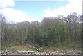 Malthouse Wood in TN33 0TX