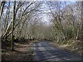 The Road through Great Wood at Rushlake Green in TN21 9QU