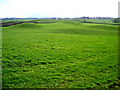 Green Rolling Field Near Kirkton in DG1 1SU