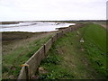 Sea Wall, Walton Hall Marshes in CO14 8LQ