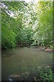 A Garnetts Wood Pond in CM6 1ND