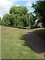 Path under a willow towards Chiltern Road in AL4 9YD