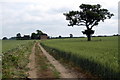Farm track and tree near New Jerome Farm in AL3 6RE