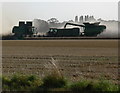 Harvesting time at Terrington St Clement in PE34 4LQ