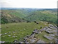 South west from Sharp Tor in TQ13 7PU