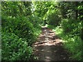 Track / bridleway alongside the A33 in RG7 2BL