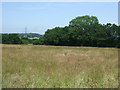 Farmland, Bourne Vale in B74 3NT