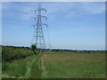 Farmland and pylons in B74 3JY