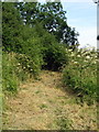 Path to the footbridge in MK18 3NT