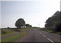 A487 at Penffynnon in SA43 1RH