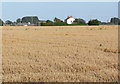 Flat farmland north of Old Roman Bank in PE34 4HA