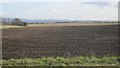 Arable land beside the A1 in TD15 2FR