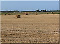 Flat farmland near Home Farm in PE34 4HL