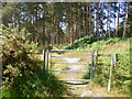Cranborne Common, gate in BH21 5QY