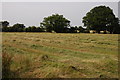 Haymaking at Brockamin in Malvern Hills District
