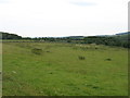 Fields below Auchmull in DD9 7YG