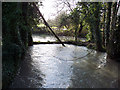Swollen River Ebble near St John the Baptist Church, Bishopstone in SP5 4AR