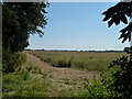Farmland near Stanker's Pond, Sutton-in-the-Isle in CB6 2RU