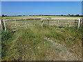 Field gates near Slade Farm, Witcham in CB6 2LF