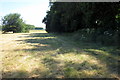 Part of Tilehouse Wood by the pasture in MK18 5AL
