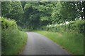 Country lane towards Bighton in SO24 9EB