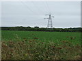 Farmland and pylon in LN4 1NJ