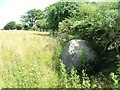 Glacial erratic by the footpath above Pentre-Shon in SA48 7PA