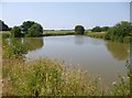 Alderholt Common, pond in SP6 3DF