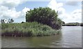Junction between Womack Water and the River Thurne in NR29 5NS