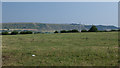 View over pasture towards the Cement Works and the Westbury White Horse in BA14 6BD
