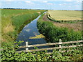Main Drain at Common Bridge, Pymoor in CB6 2DY