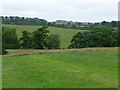 Looking across pasture and the Hampeth Burn  in NE65 9LF