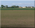 Flat farmland near Lutton in PE12 9HE