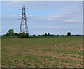 Farmland and pylon along Lutton Bank in PE12 9LL