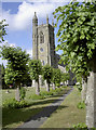 Tree-lined churchyard in SP7 8HD