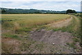 Wheatfield near Clifford in HR3 5ET