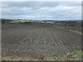 Arable land by Skipperton Farm in FK4 2HE